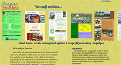 Desktop Screenshot of casparinstitute.org